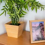 Apartment Ribambit